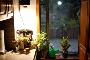 Single Pot 75 Watt LED Grow Light